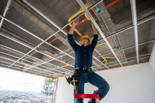Best Pipe Repair Near Me  in Alamo, TX