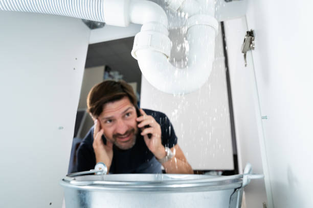 Best Shower Repair Services  in Alamo, TX