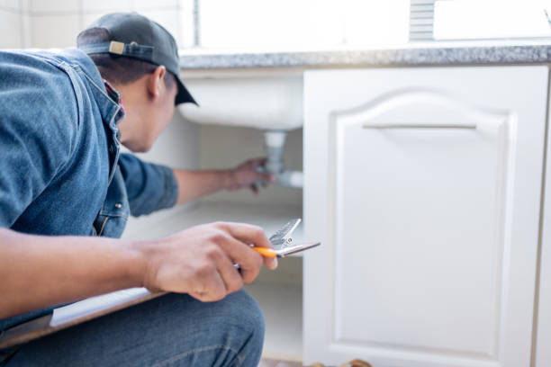 Best Toilet Repair Services  in Alamo, TX