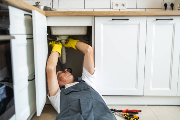 Best Commercial Plumbing Services  in Alamo, TX