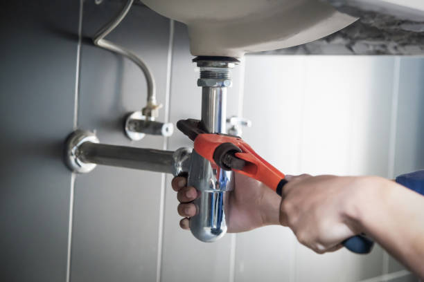 Best Local Plumber Services  in Alamo, TX